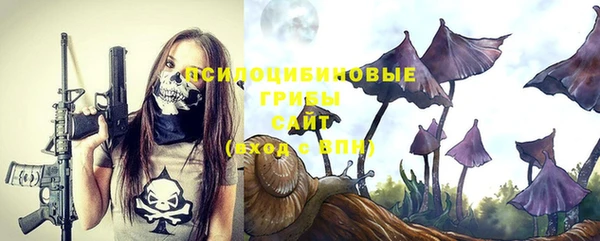 гашик Заволжск