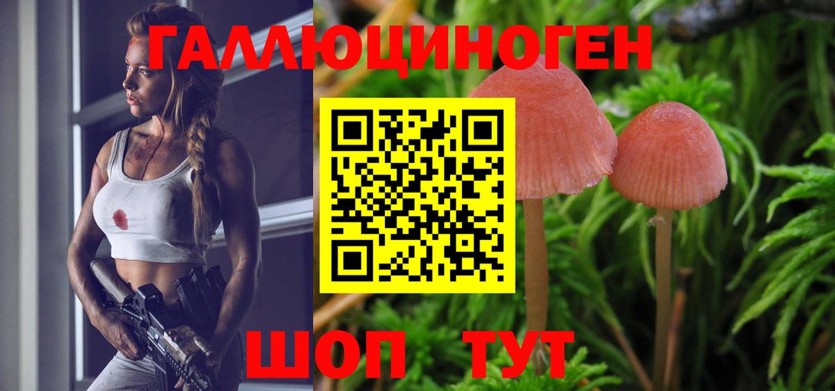 Кольчугино  Галлюциногенные грибы MAGIC MUSHROOMS  Вход с VPN  Псилоцибиновые грибы Cubensis 